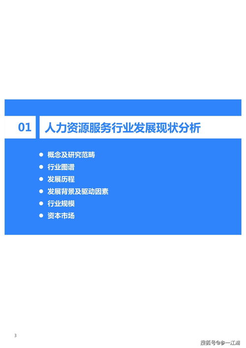2021年中國人力資源服務(wù)行業(yè)軟件開發(fā)研究報告